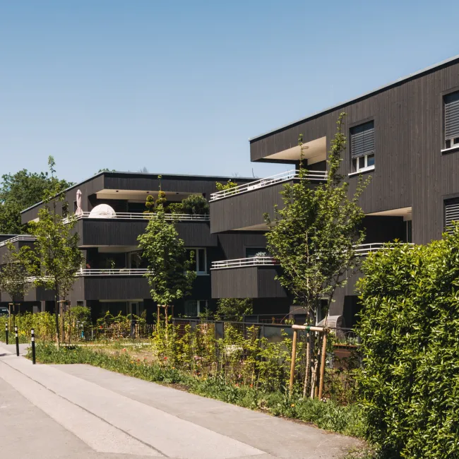 Wolfurt - Dammstraße