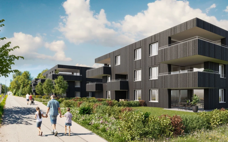 Wolfurt - Dammstraße