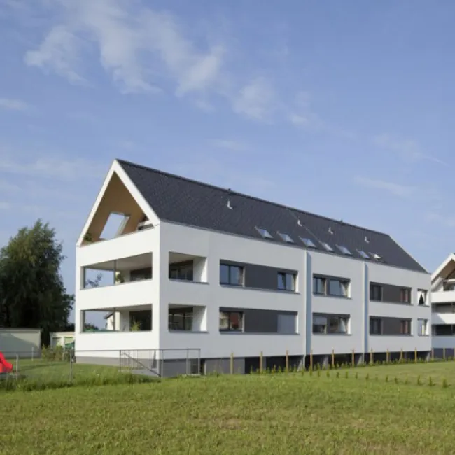 Wolfurt Bütze