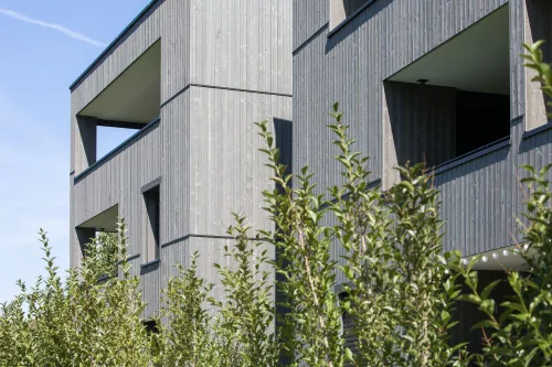 Wolfurt - Feldeggstraße