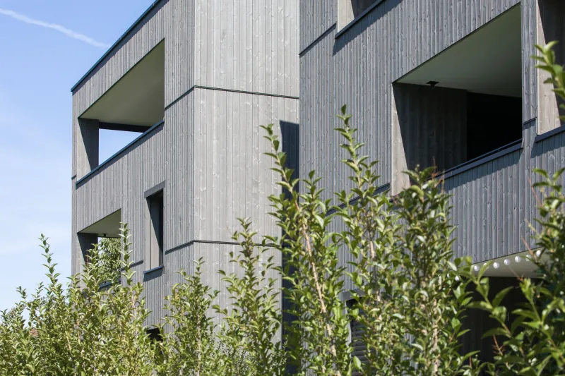 Wolfurt - Feldeggstraße