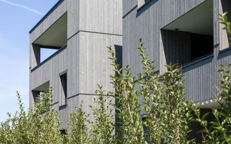 Wolfurt - Feldeggstraße