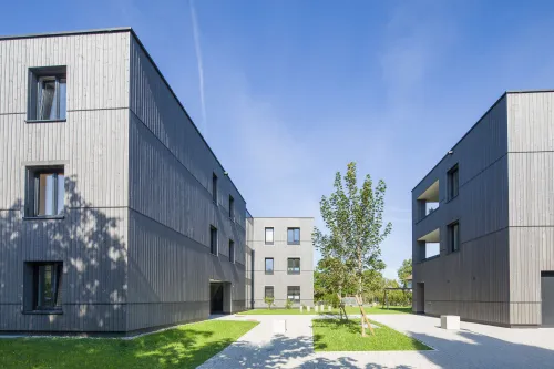 Wolfurt - Feldeggstraße