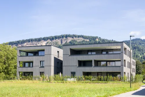 Wolfurt - Feldeggstraße